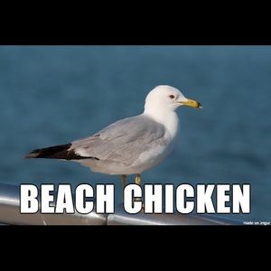 Meet your Posher, Travis